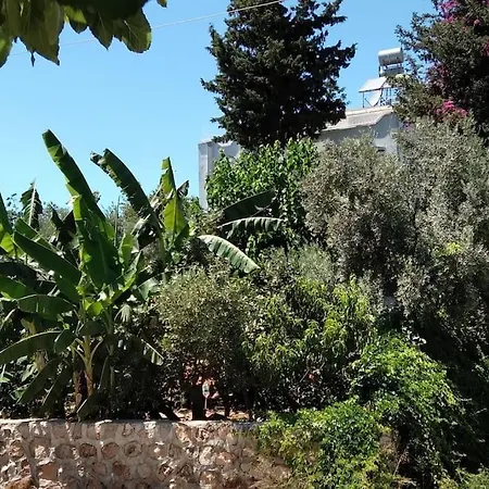 Vakantiehuis Murat Coban